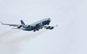 ФНС РФ заявила требования к авиакомпании 