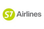 S7 Airlines начислит мили за перевозку животного на соседнем кресле
