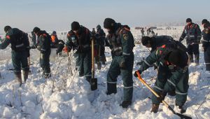 Специалисты не нашли фрагментов тел на месте крушения Ан-148 в Подмосковье (РИА 