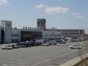Аэропорт Магадан проверят на птицеопасность (ДВ-РОСС)