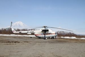 Вертолет МЧС России вылетел для транспортировки белого медведя (МЧС)