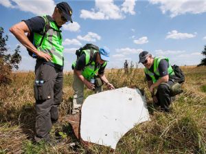 Следственную группу по MH17 поставил в тупик неудобный вопрос из России (ФАН )