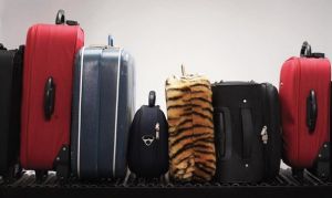 Шереметьево выплатит компенсации авиакомпаниям за сбой в системе обработки багажа (ТАСС)