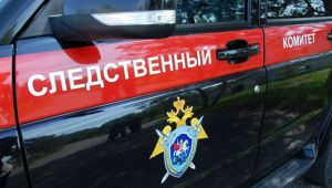 Глава СК поручил проверить сообщение о драке на рейсе Сочи - Москва (РИА 