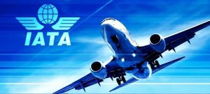 IATA: убытки мировых авиакомпаний в 2020 году составят рекордные $84,3 млрд (ТАСС)