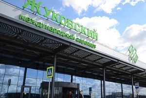Небо близ аэропорта Жуковский начнет патрулировать ястреб (РИА "Новости")