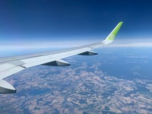В S7 Airlines заявили о готовности перейти на биотопливо (Известия)