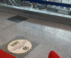 Новая звезда в Галерее Славы аэропорта Домодедово (Московский аэропорт "Домодедово")