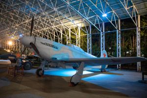 Экскурсии ко Дню Военно-воздушных сил России пройдут в Музее 