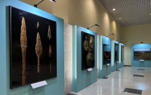 В аэропорту Домодедово открылась уникальная выставка археологических находок (Московский аэропорт 