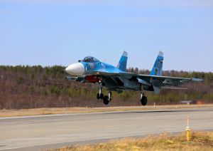 Летные экипажи истребителей Северного флота отработали боевые маневры в воздушном пространстве Заполярья (Министерство обороны РФ)