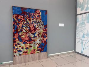 Впервые кубик Рубика в аэропорту Владивосток: уникальная арт- инсталляция (Международный аэропорт Владивосток)