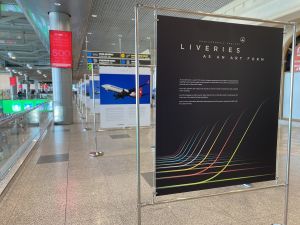 Пассажиры Домодедово создали свои уникальные авиационные ливреи в аэропорту (Московский аэропорт "Домодедово")