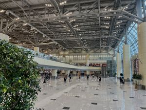 Более 560 тыс. пассажиров: первые итоги работы нового сегмента пассажирского терминала аэропорта Домодедово (Московский аэропорт "Домодедово")