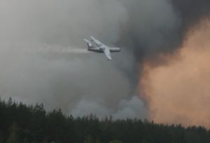 МЧС: в течение суток воздушные суда сбросили 494 тонны воды на наиболее сложные участки возгораний в РФ (МЧС)